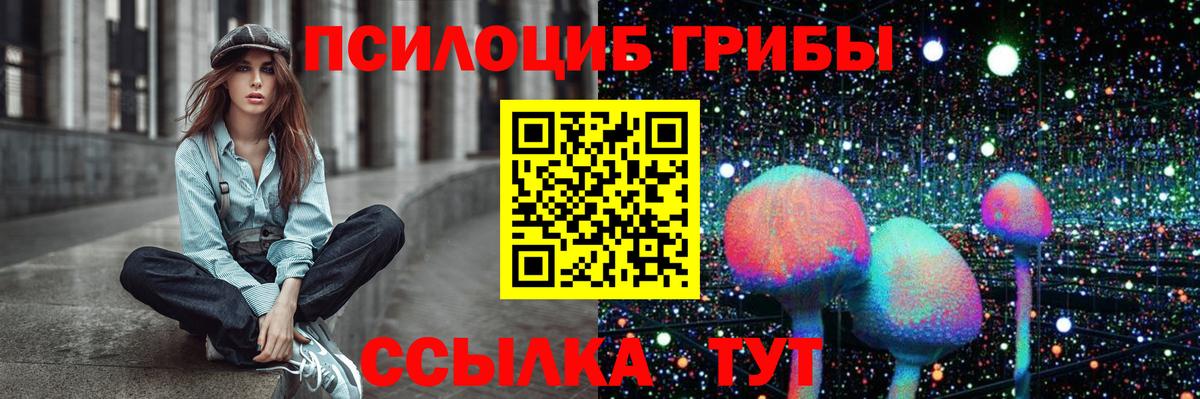 Псилоцибиновые грибы Psilocybine cubensis Богданович