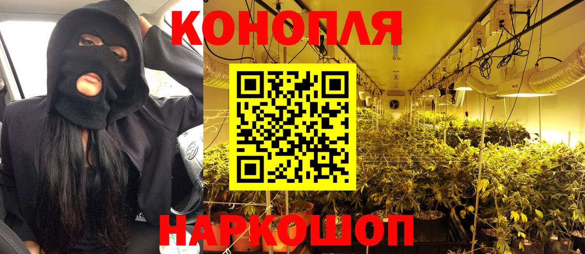 Каннабис планчик Богданович